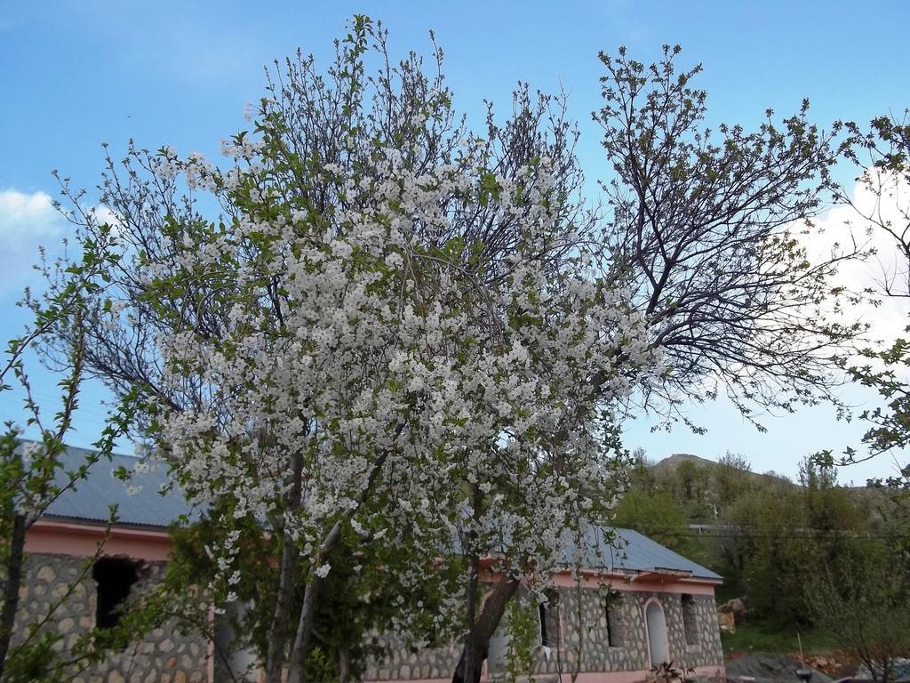 Nemrut Kervansaray Hotel Karadut  Экстерьер фото